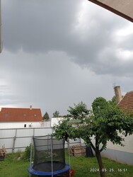 Polgár