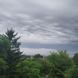 Gödöllő