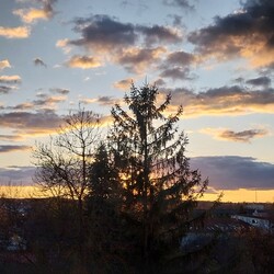 Gödöllő