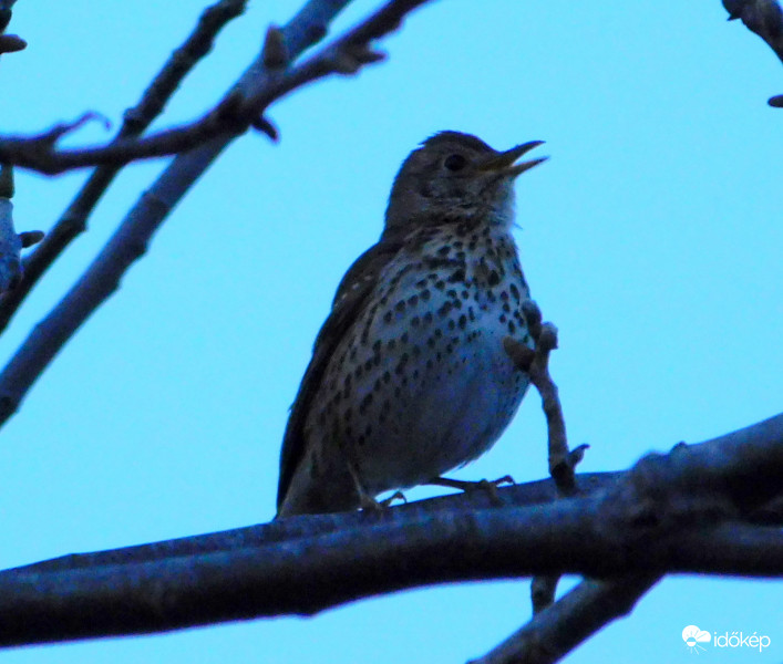 esti énekes-énekes :)