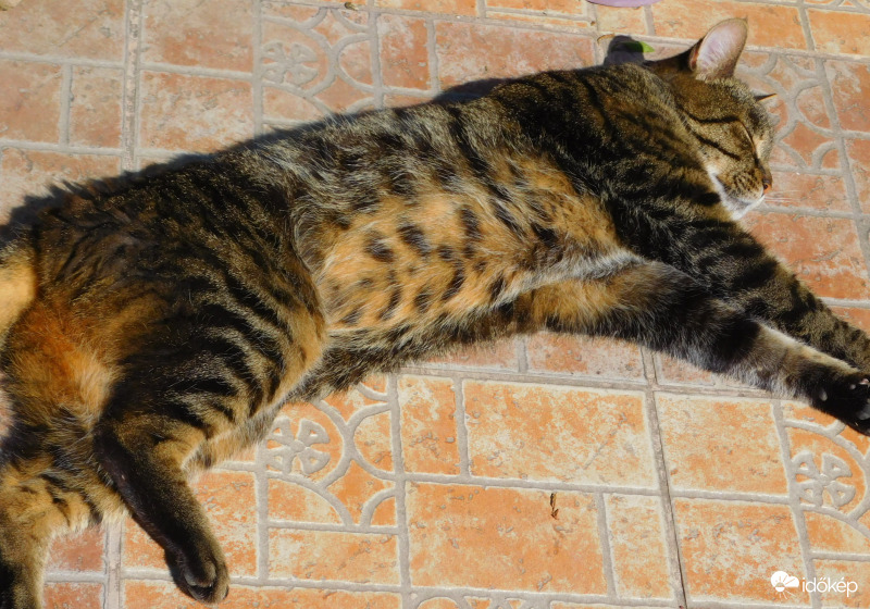 pocaksimi után édes a napozás :)