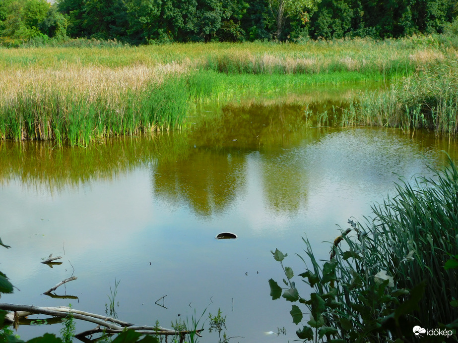 valamit ért ez a kevés eső is, ami felénk jutott