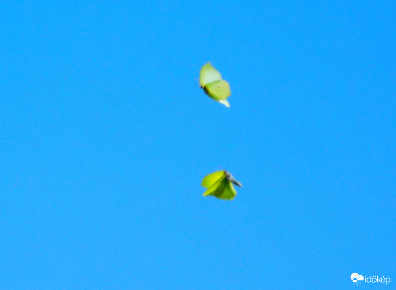 lepketánc a nász előtt