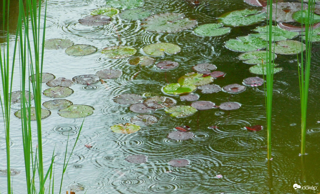 sokra nem mentünk az esővel