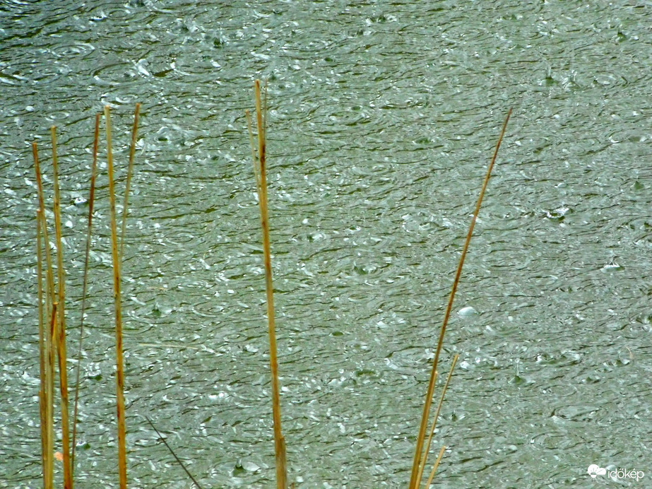 3,5 mm