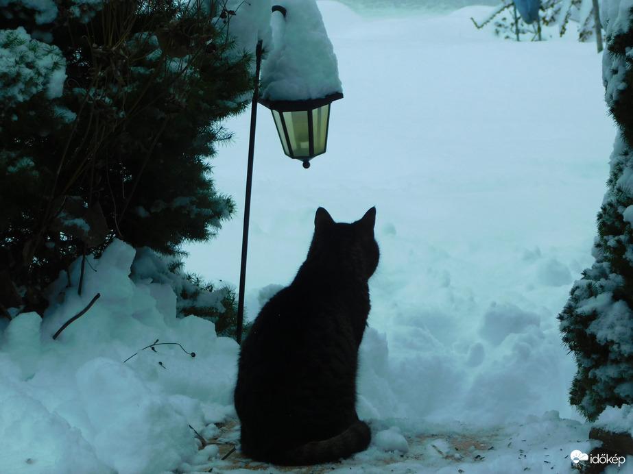 innen egy lépést se :)