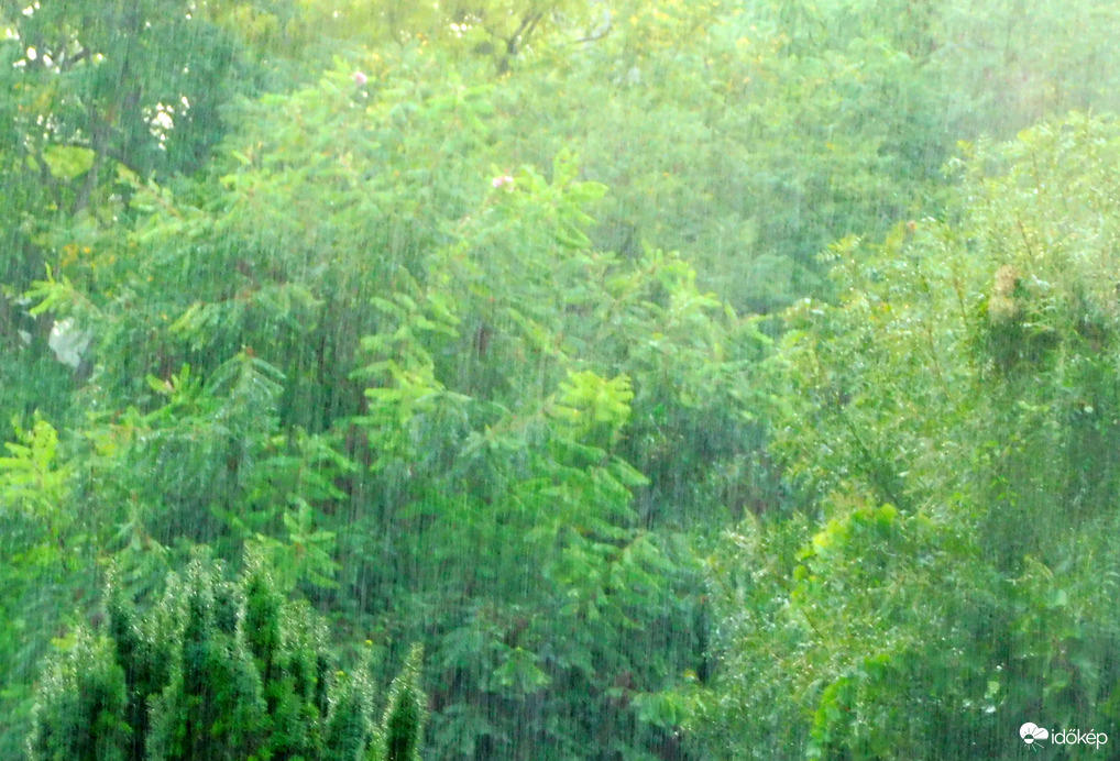 a megmentő, éltető eső: kaptunk 16 mm-t :))