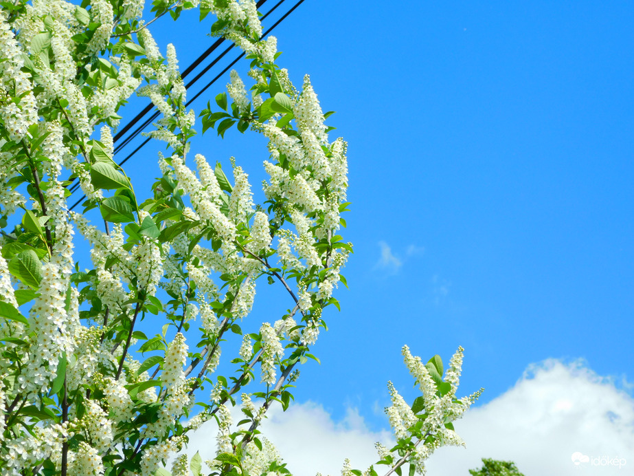 kissé szeles idő volt
