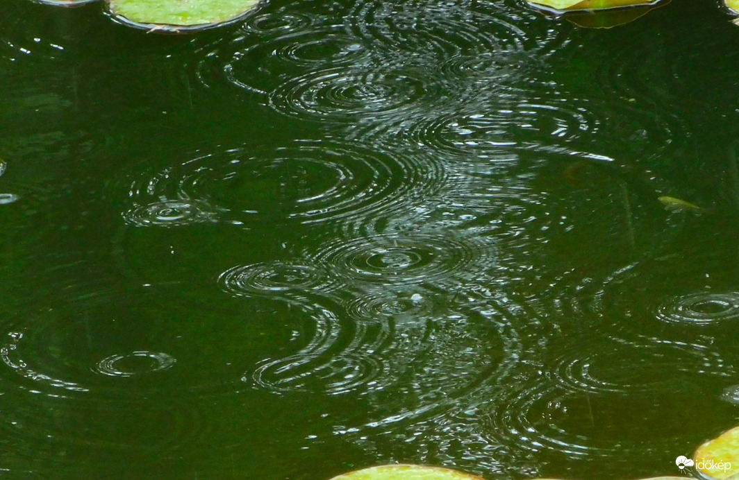 0 mm
