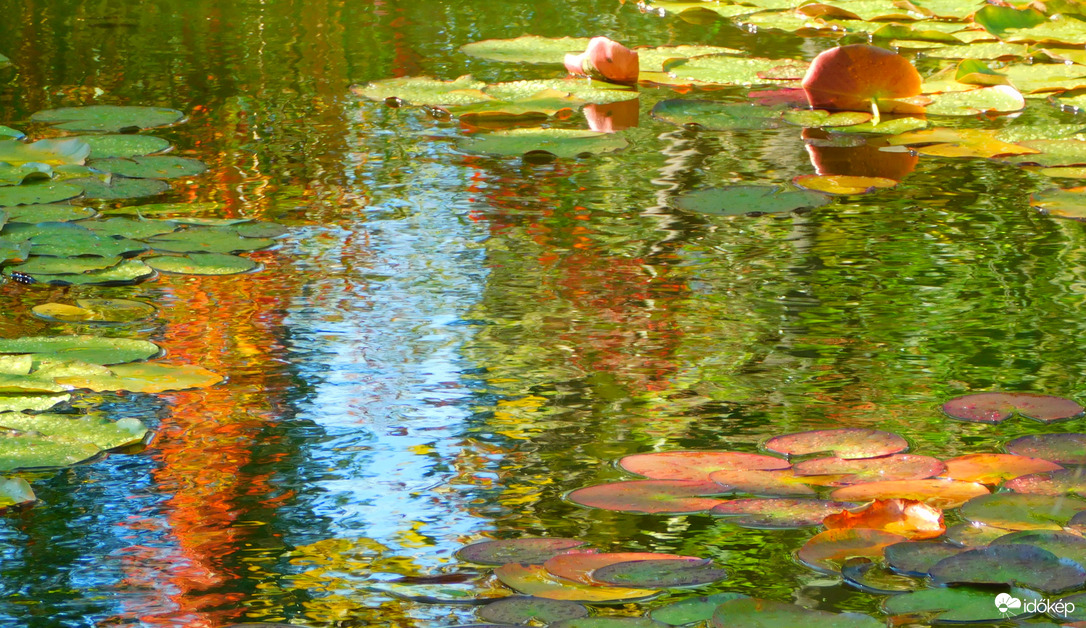 szélborzolta őszi színek tükre