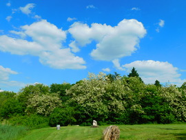 lica fotója