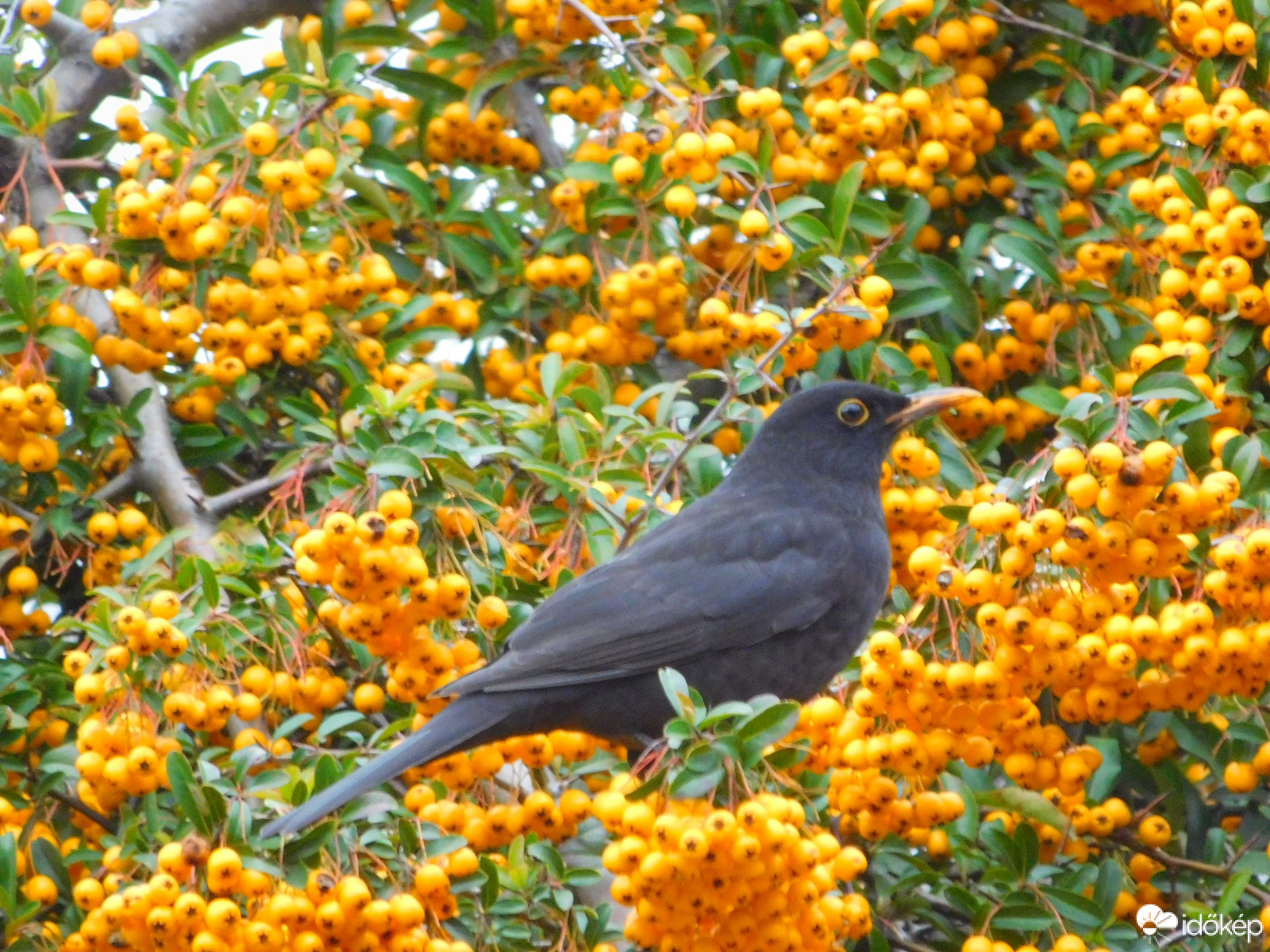 legalább valami világít a borúban :)