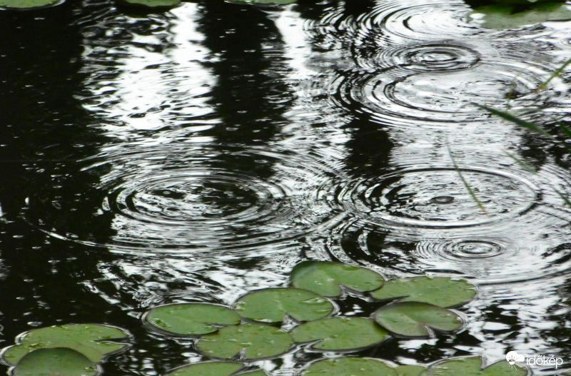 nagy cseppek ritkán és fél percig esett :(