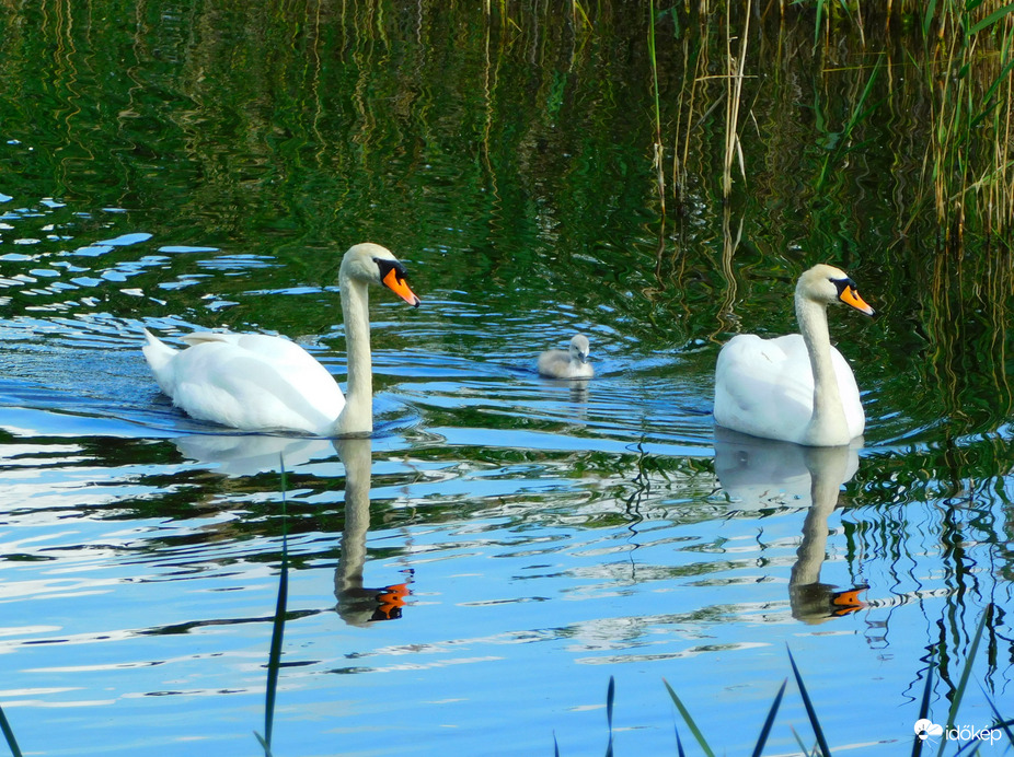 csodás kis család :)