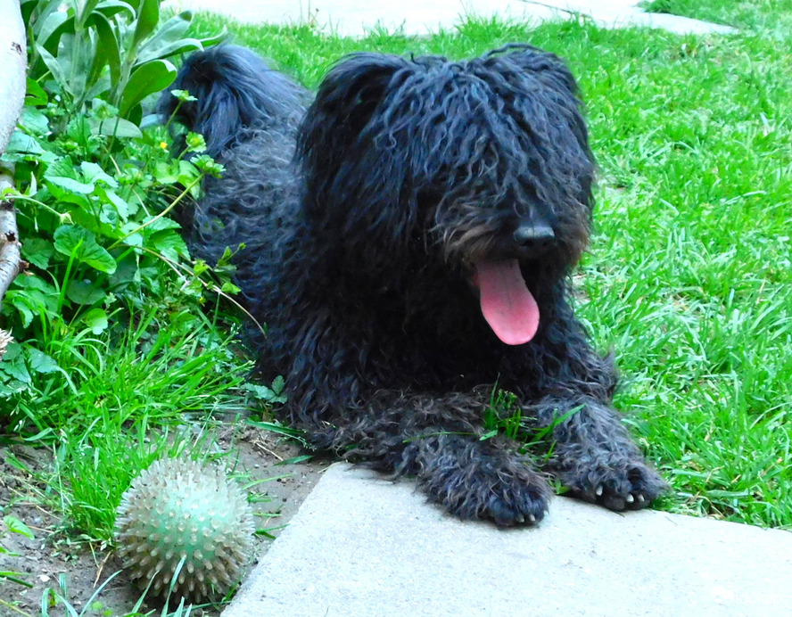 meddig kell még labdázni :)