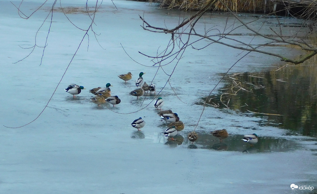 némi mozgás mutatkozik