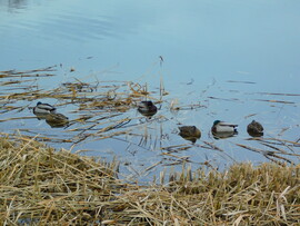 elmozdultak a holtpontról