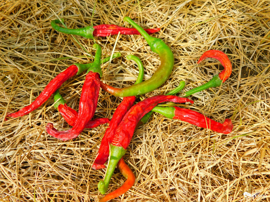 mai kis színes a szárazságban :)