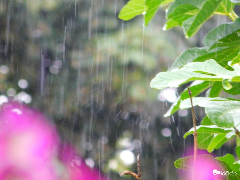 volt egy kis esőnk :)