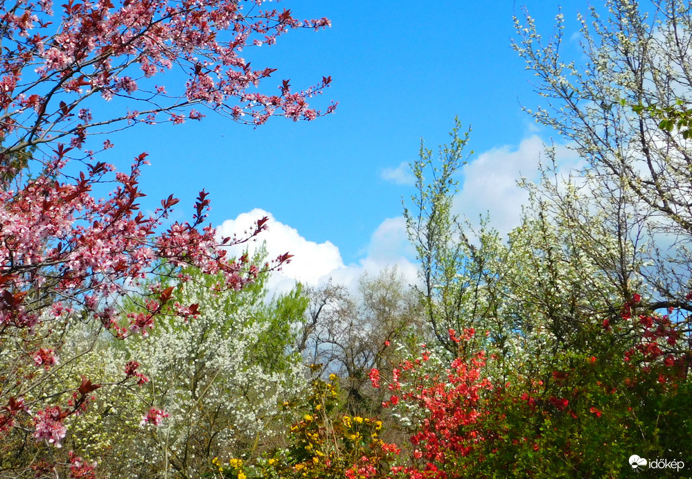 tiszta tavasz :)
