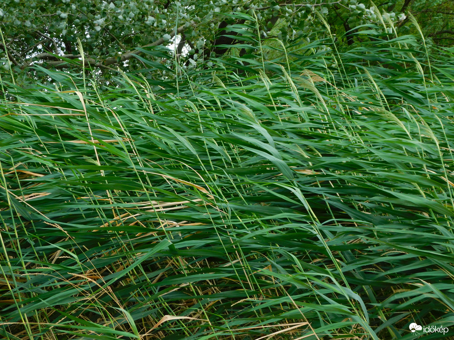 kissé szeles idő volt