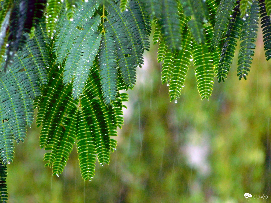 kaptunk 14 mm-t, ami nagyon kell, de