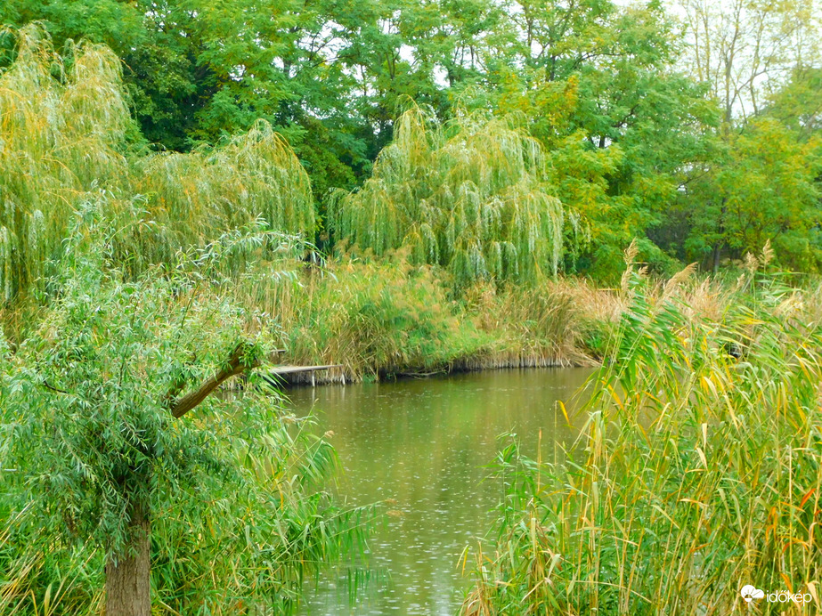 Kis-Duna gyenge esőben