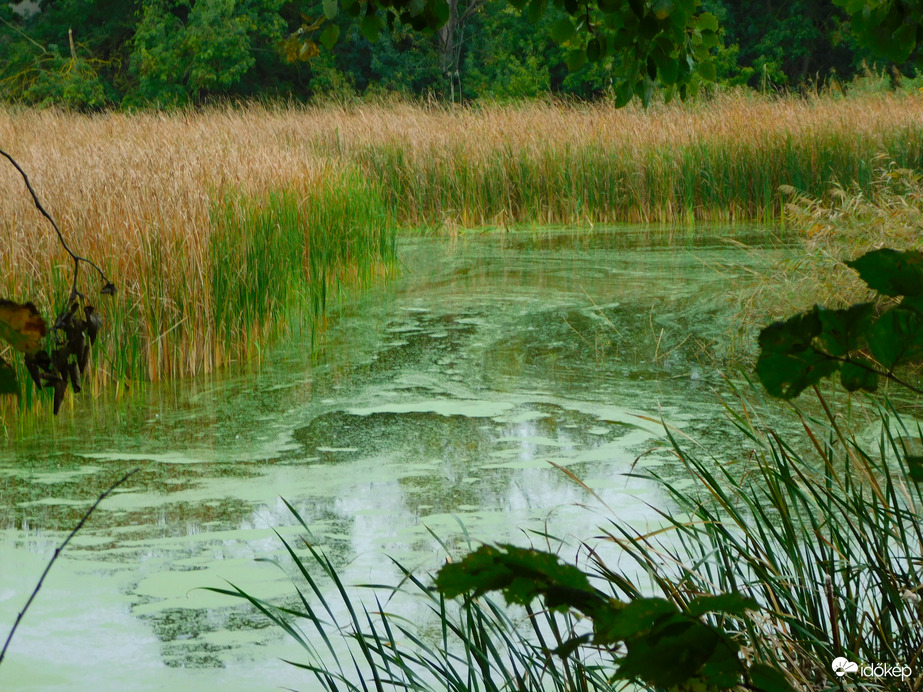 naponta változó a víztükör