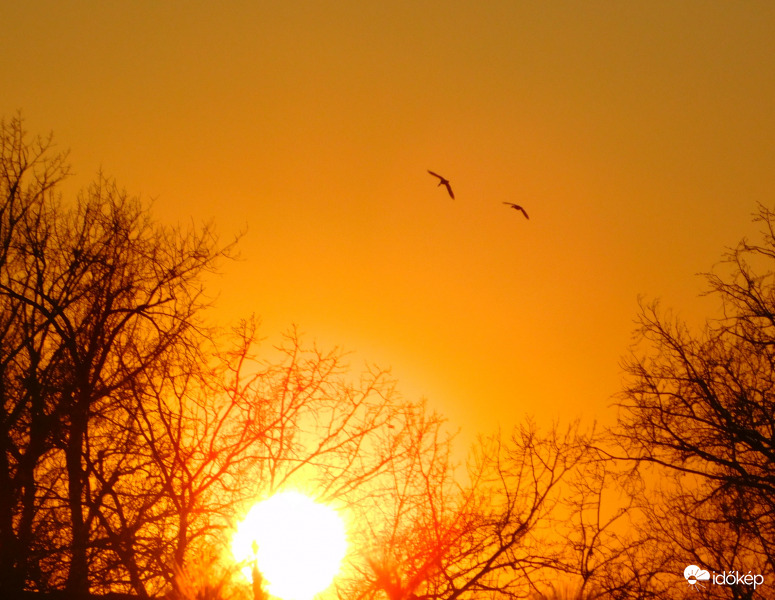 naplemente kacsákkal