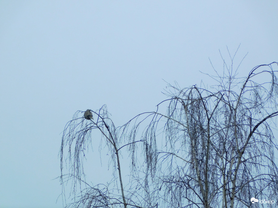 ha már ilyen ronda volt, legalább esett volna
