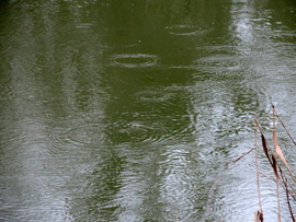 kaptunk vagy 7 mm esőt eddig összesen