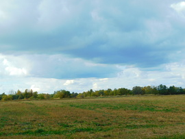 lica fotója