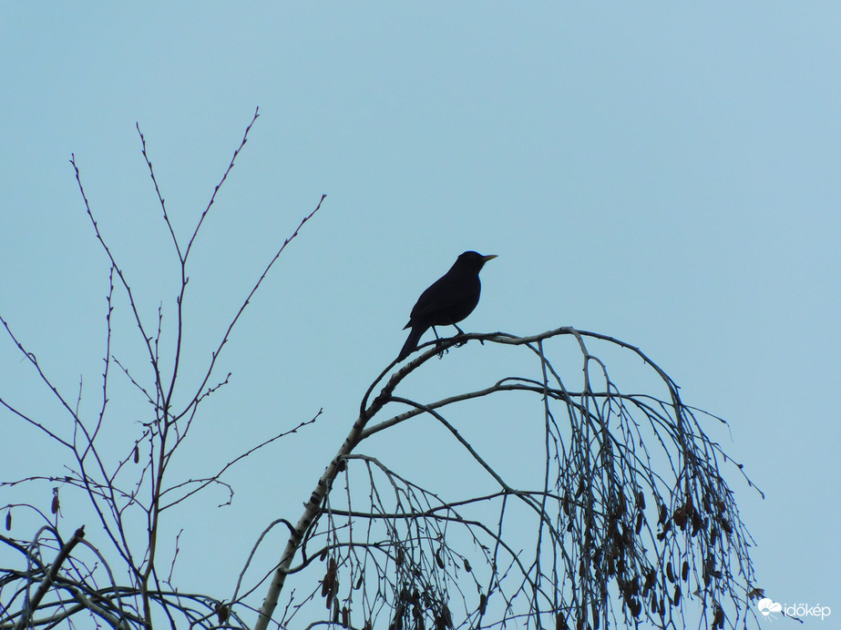 jön már a tavasz ? 
