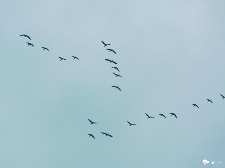 megléptek a sokadalomból :)