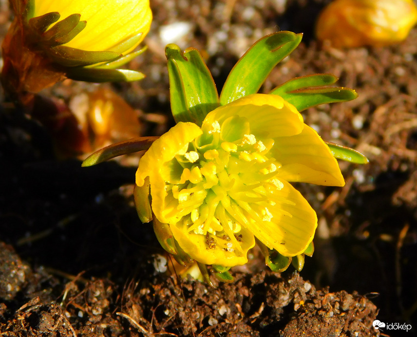 végre temetnek itt is :)