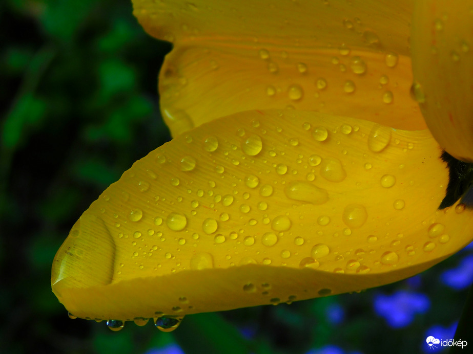 adta az uram az esőt :))