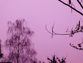 rózsaszínben ködölt