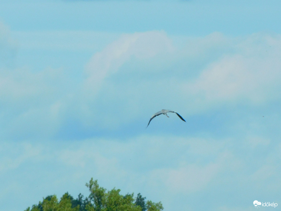 persze hogy ment 