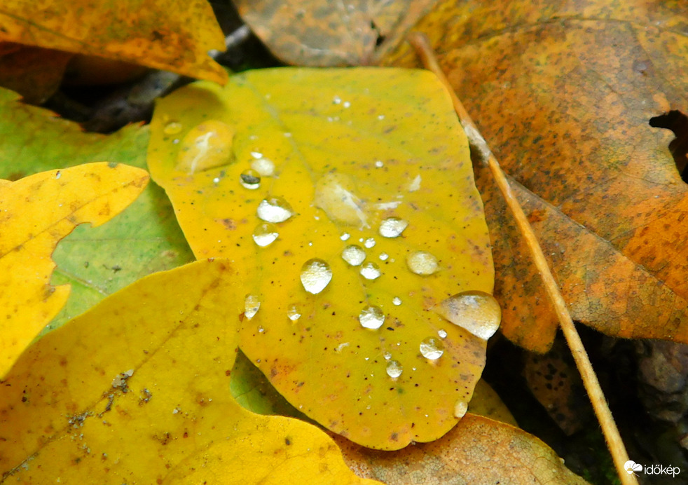 esett 20 mm, szerencsére :)