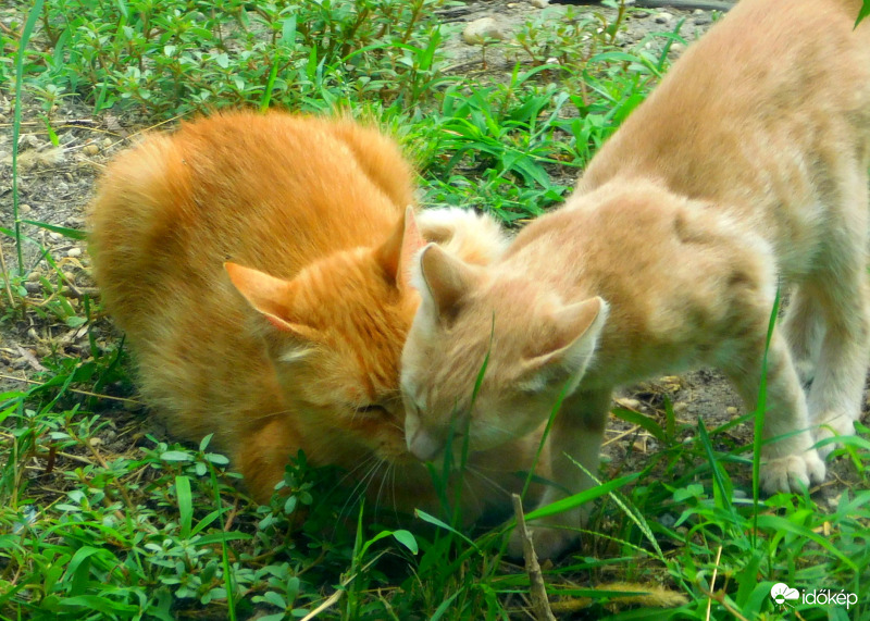 anyaaa, kérek pusziiit