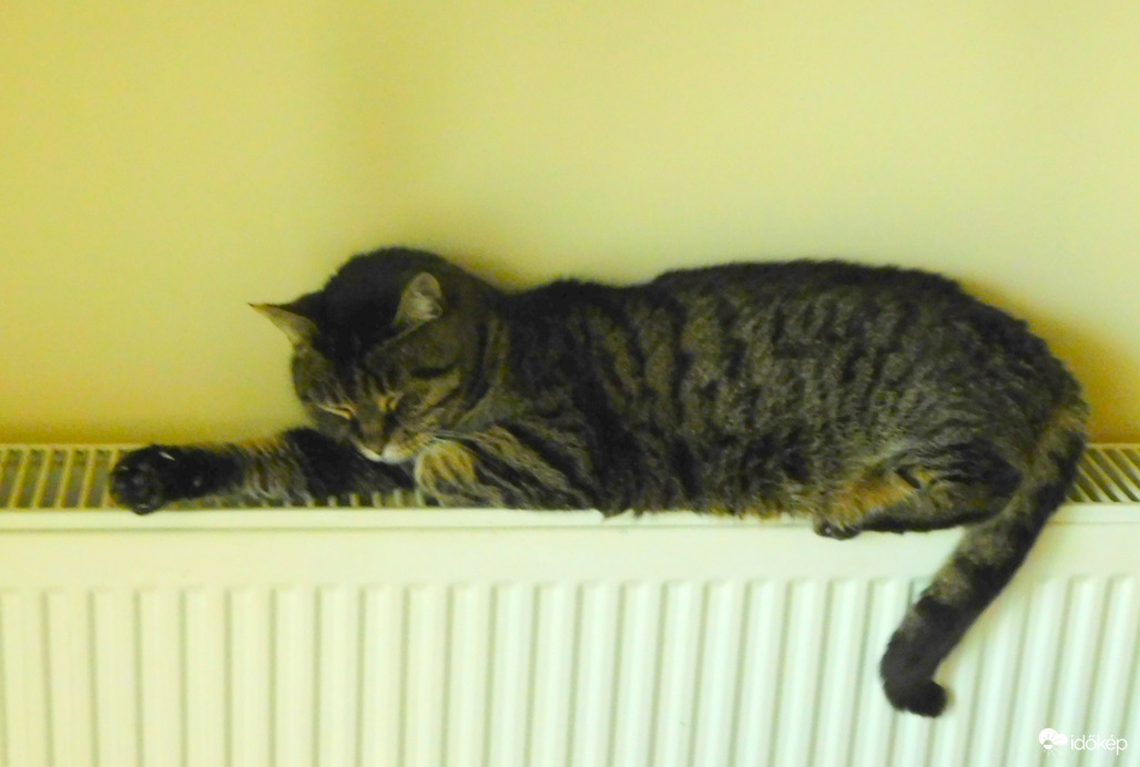 nincs új a nap alatt