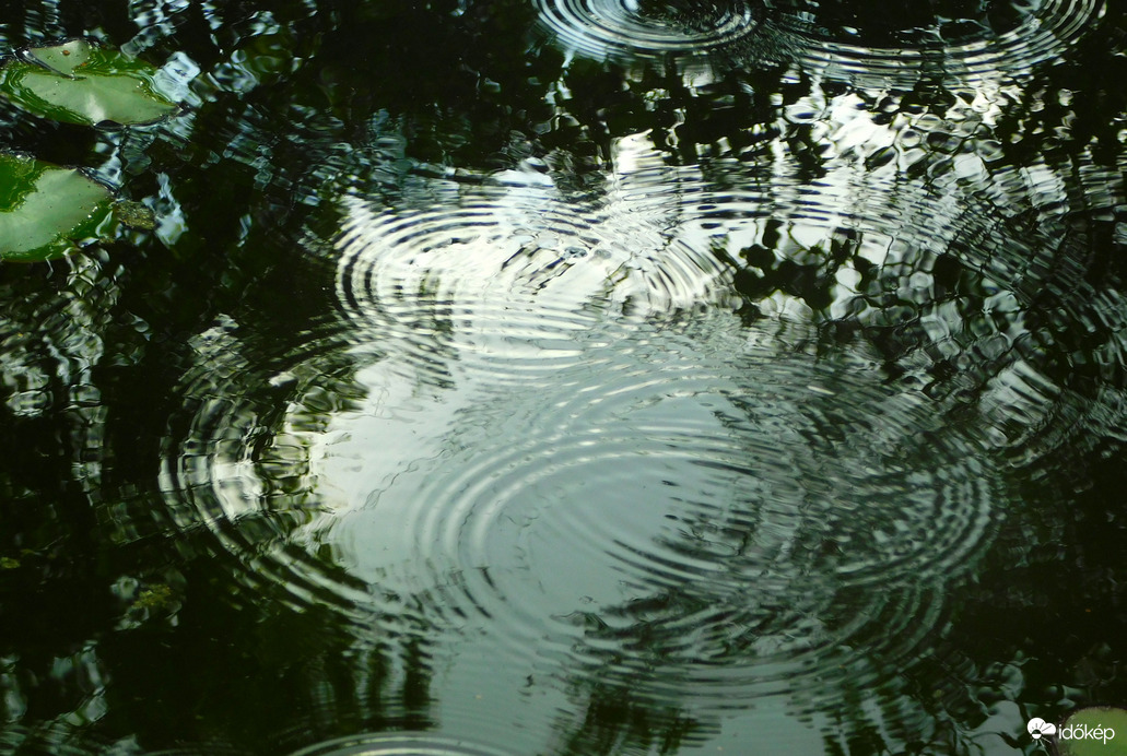 eső csak csenge és rövid, aztán csak csepegett 