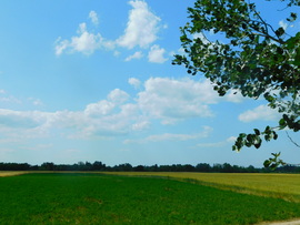 lica fotója