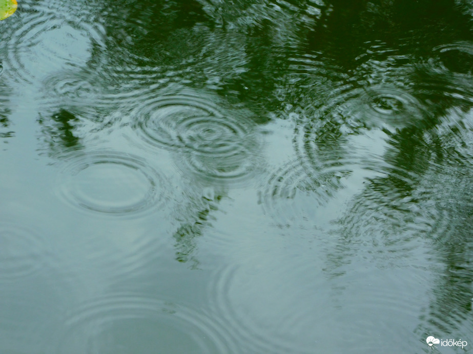 csepp-csepp csepereg...