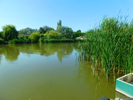 lica fotója