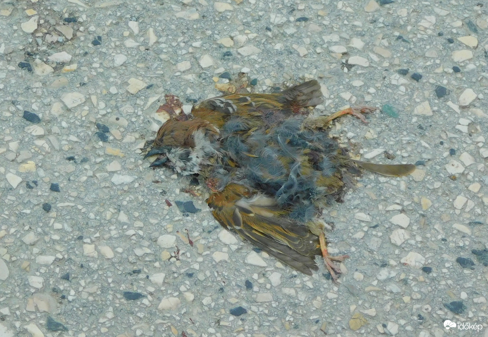 :(