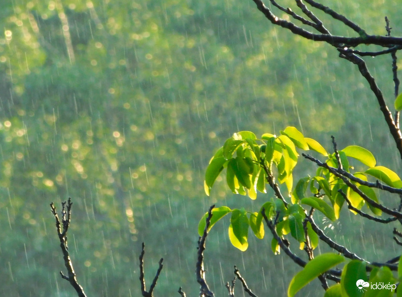 június 09.-én esett utoljára, és összesen egyszer kaptunk normális mennyiséget 