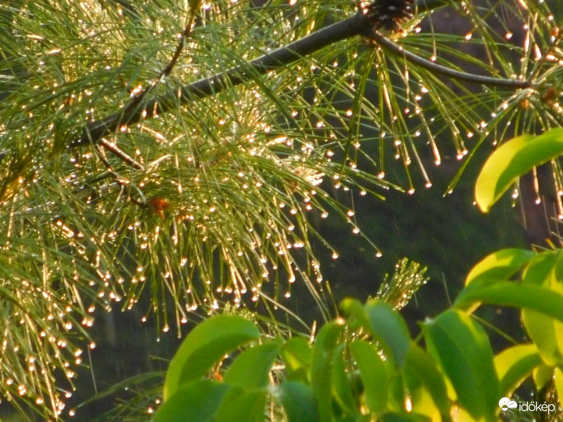 esik eső süt a nap  :)