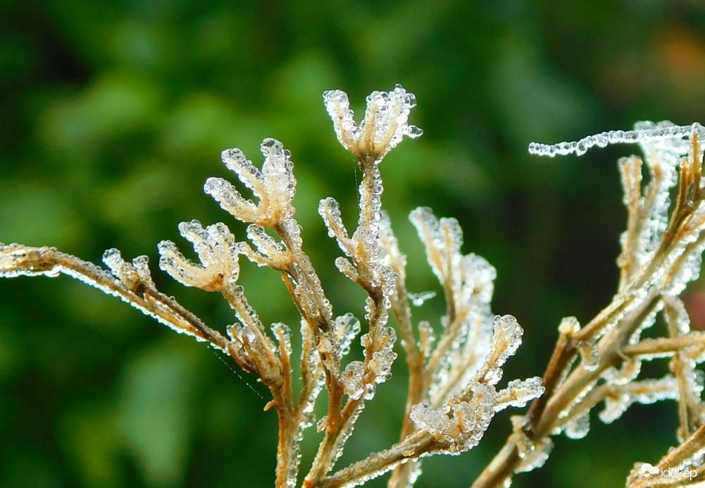 bujkáló napfénynél