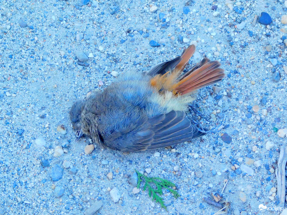 :(